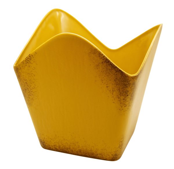 Seau à popcorn collector Mufasa – Image 4