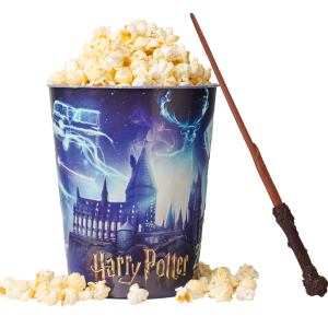 Harry Potter Seau Métal avec Baguette Magique